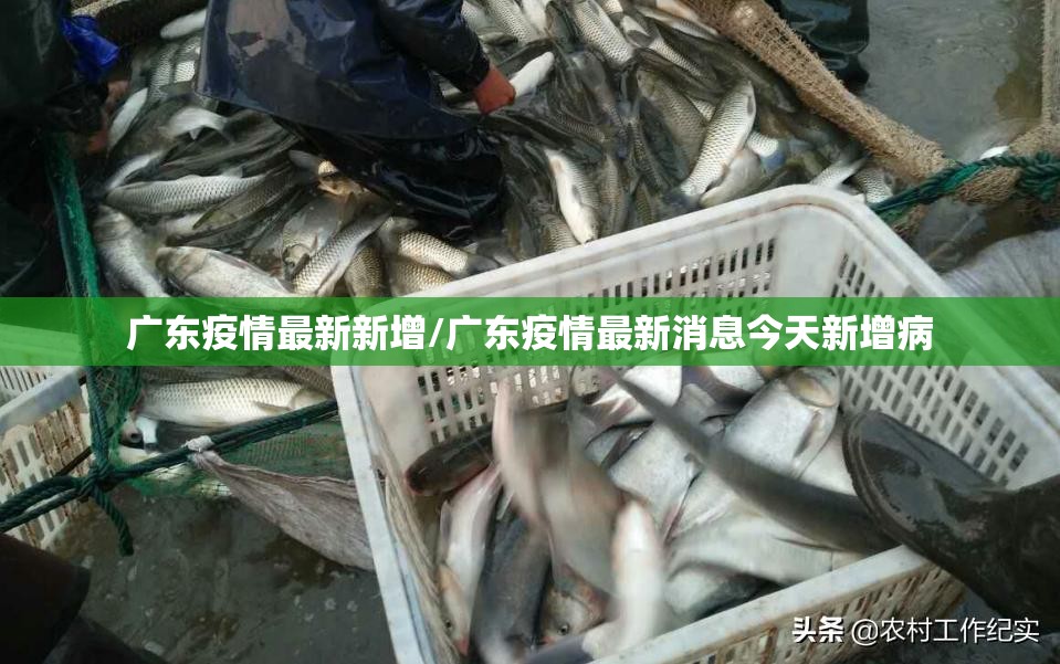 广东疫情最新新增/广东疫情最新消息今天新增病