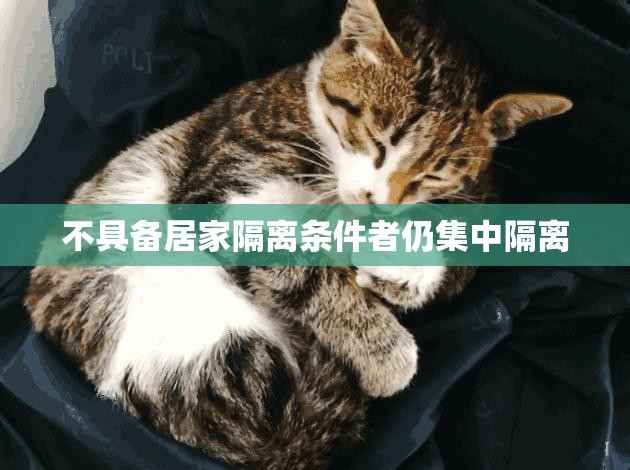 【不具备居家隔离条件者仍集中隔离/什么叫不具备居家隔离条件】