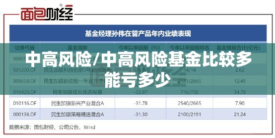 中高风险/中高风险基金比较多能亏多少