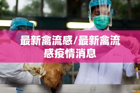 最新禽流感/最新禽流感疫情消息