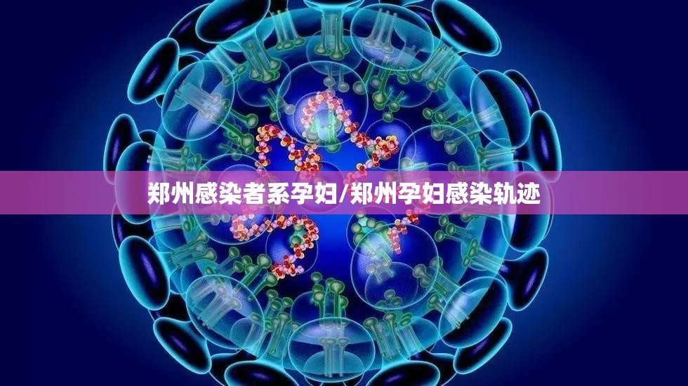 郑州感染者系孕妇/郑州孕妇感染轨迹