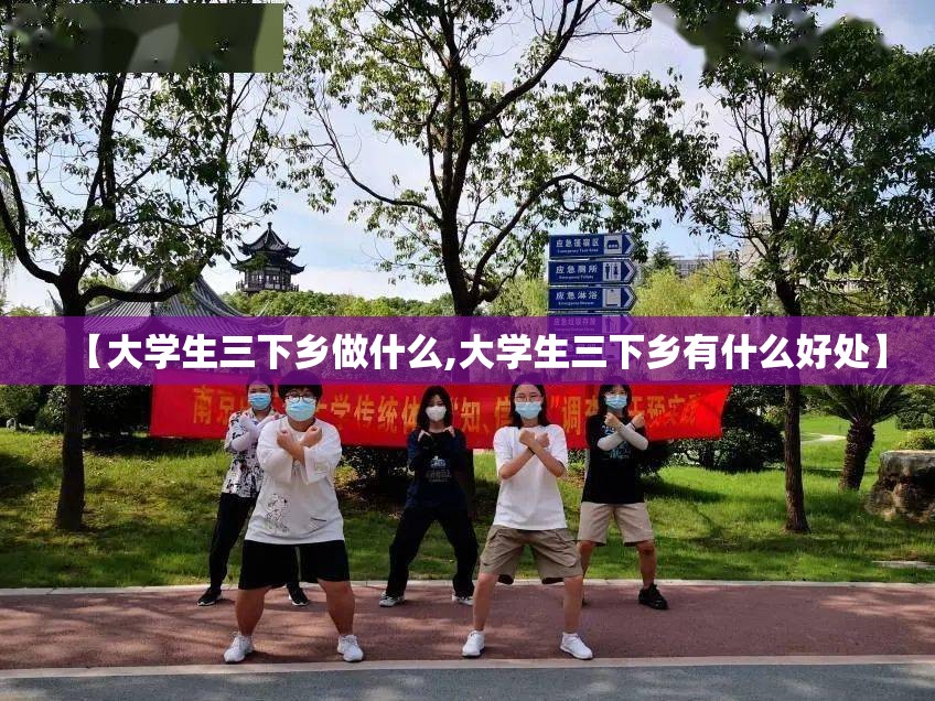 【大学生三下乡做什么,大学生三下乡有什么好处】