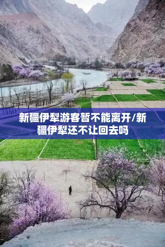 新疆伊犁游客暂不能离开/新疆伊犁还不让回去吗