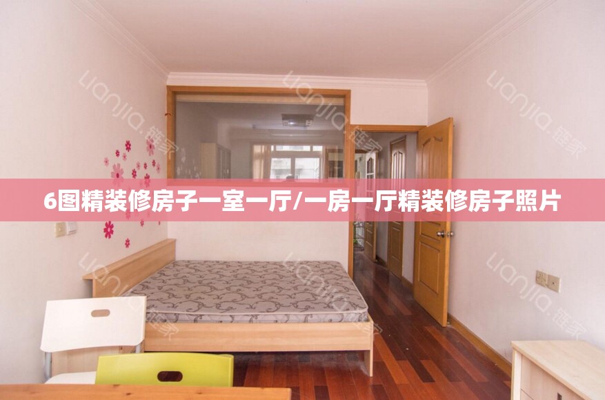 6图精装修房子一室一厅/一房一厅精装修房子照片