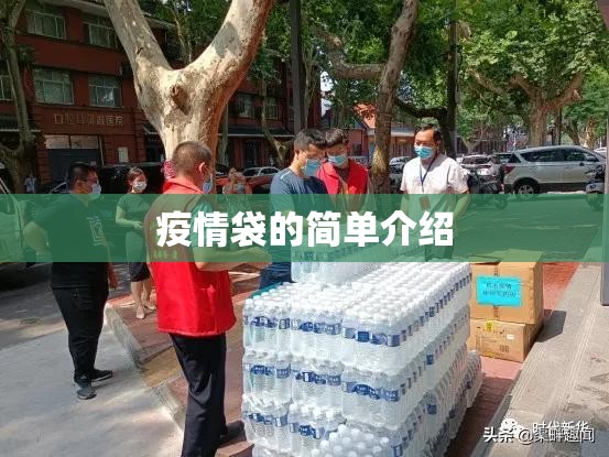 疫情袋的简单介绍