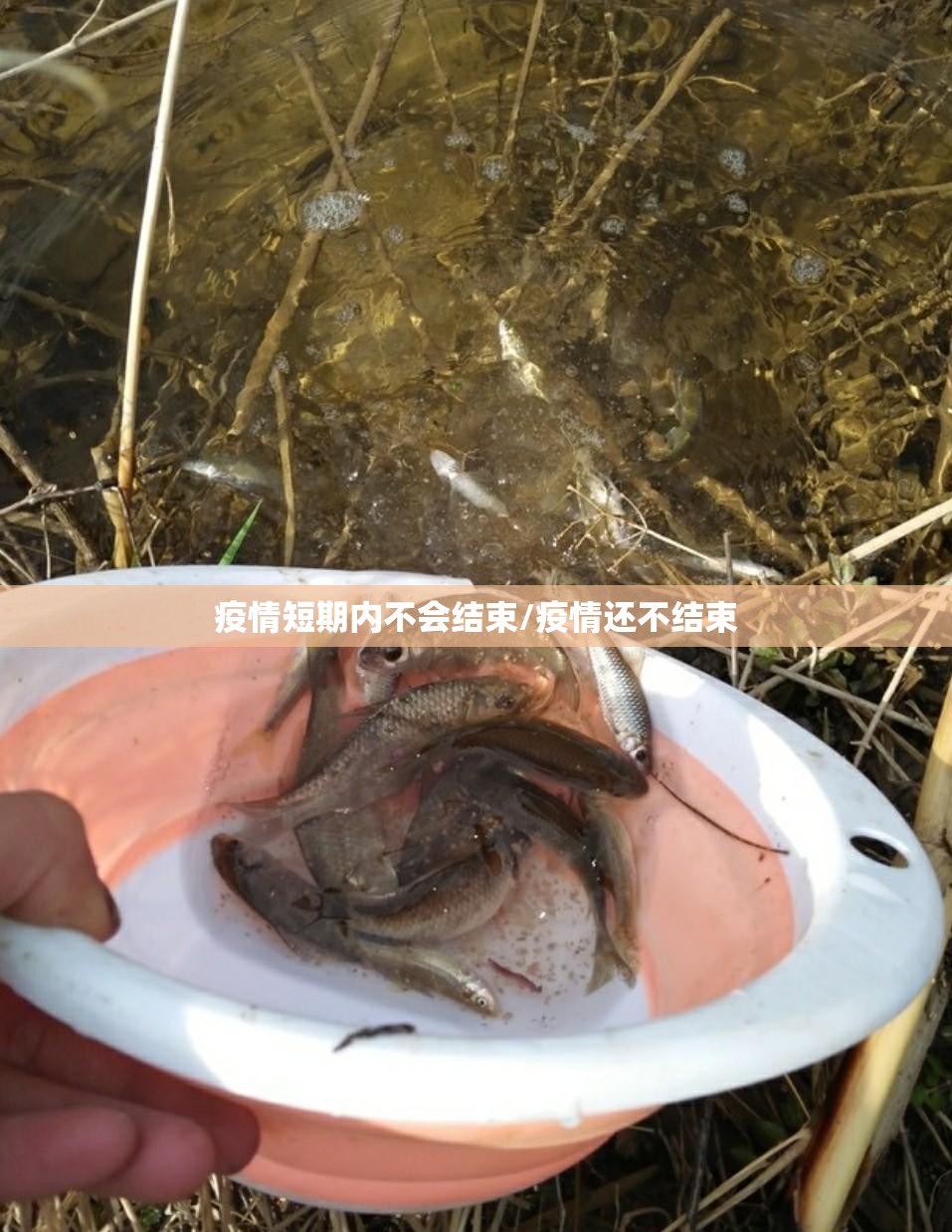 疫情短期内不会结束/疫情还不结束