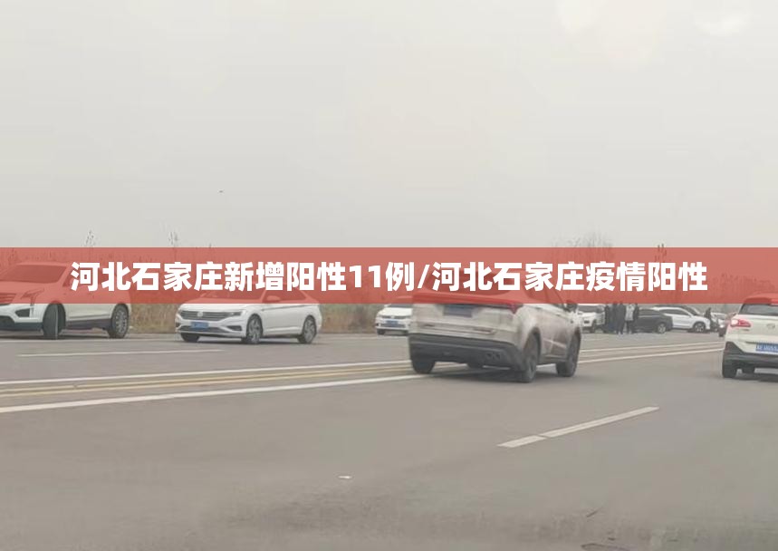 河北石家庄新增阳性11例/河北石家庄疫情阳性