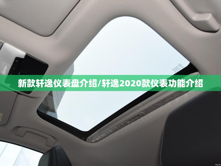 新款轩逸仪表盘介绍/轩逸2020款仪表功能介绍
