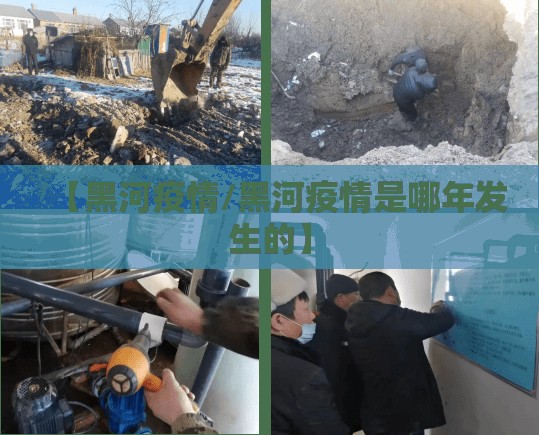 【黑河疫情/黑河疫情是哪年发生的】