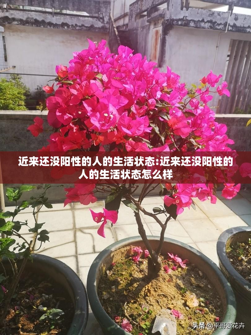 近来还没阳性的人的生活状态:近来还没阳性的人的生活状态怎么样