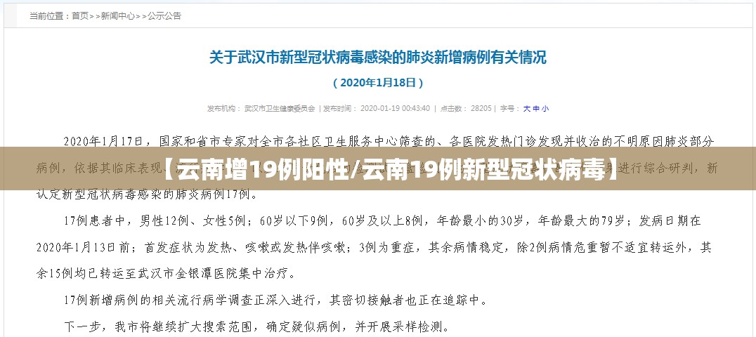 【云南增19例阳性/云南19例新型冠状病毒】