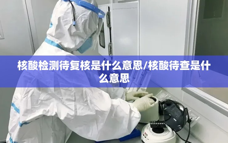 核酸检测待复核是什么意思/核酸待查是什么意思