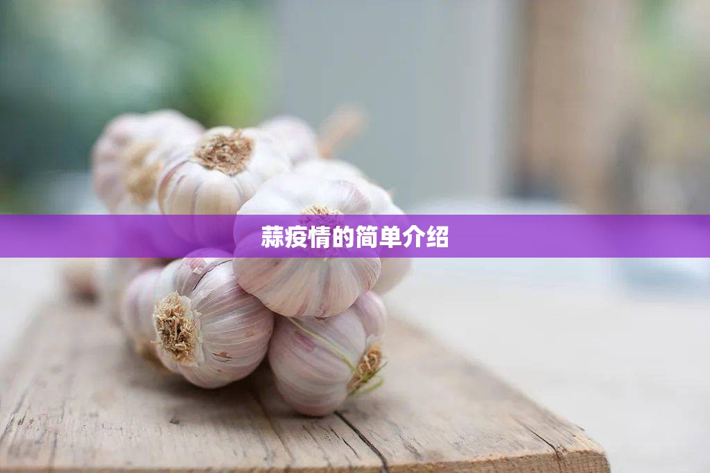 蒜疫情的简单介绍 蒜疫情的简单介绍