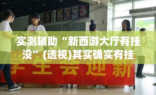 实测辅助“新西游大厅有挂没”(透视)其实确实有挂