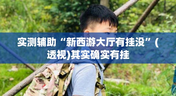 实测辅助“新西游大厅有挂没	”(透视)其实确实有挂