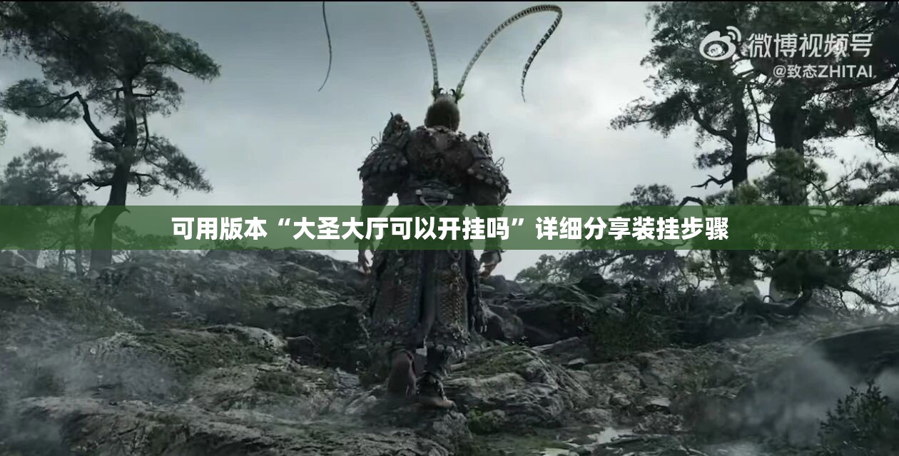 可用版本“大圣大厅可以开挂吗	”详细分享装挂步骤