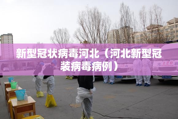 新型冠状病毒河北（河北新型冠装病毒病例）