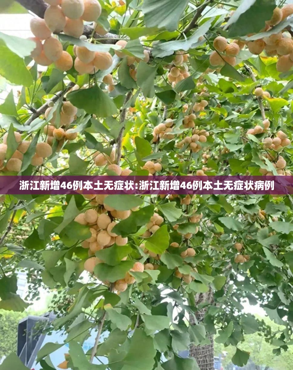 浙江新增46例本土无症状:浙江新增46例本土无症状病例