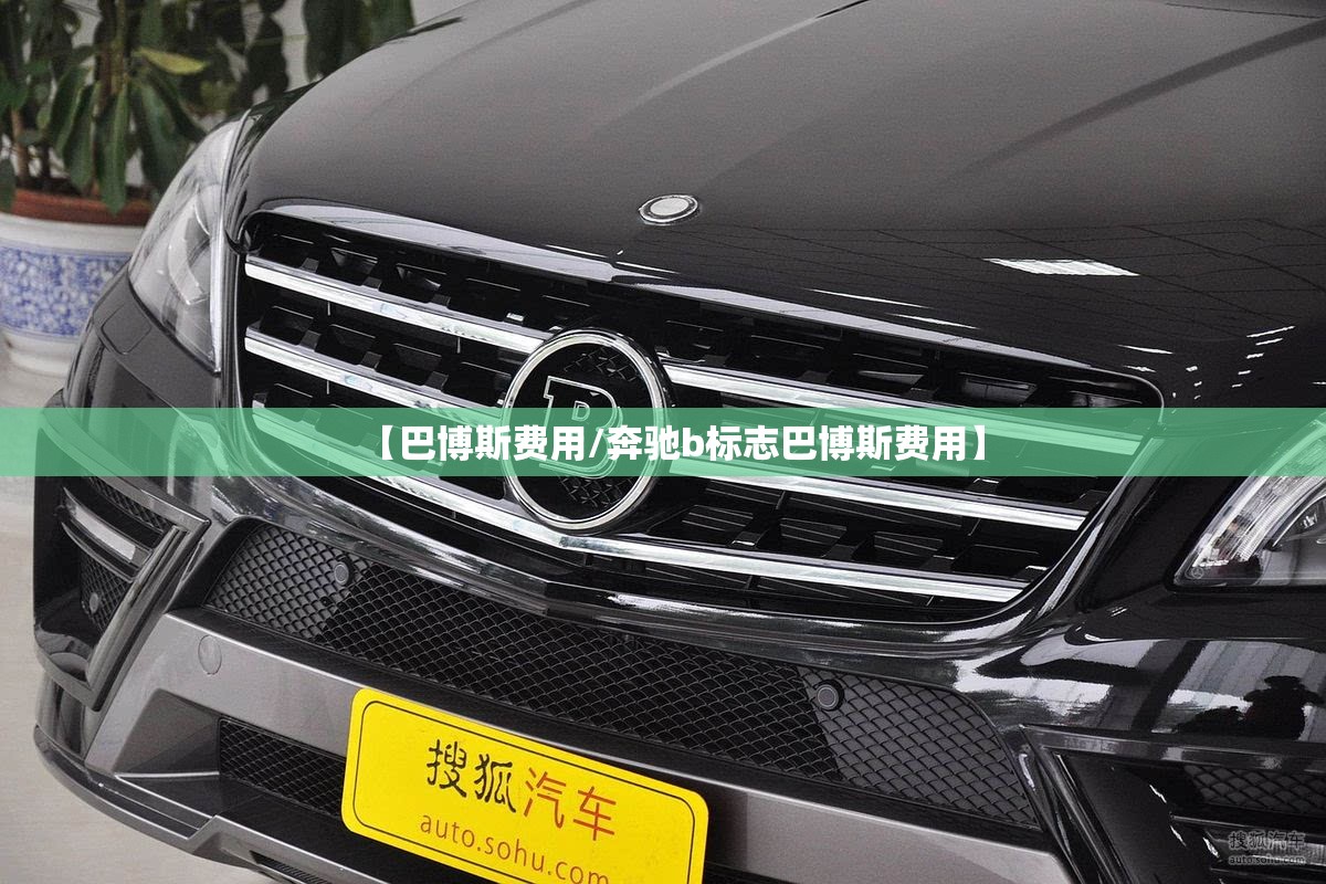 【巴博斯费用/奔驰b标志巴博斯费用】 【巴博斯费用/奔驰b标志巴博斯费用】