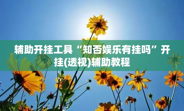 辅助开挂工具“知否娱乐有挂吗”开挂(透视)辅助教程