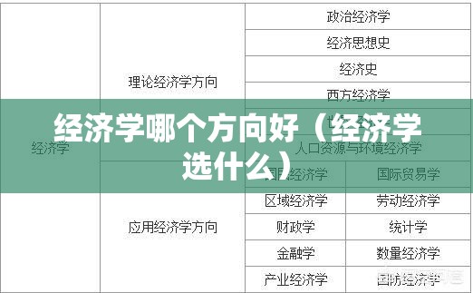 经济学哪个方向好（经济学选什么）