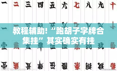 教程辅助!“跑胡子字牌合集挂”其实确实有挂