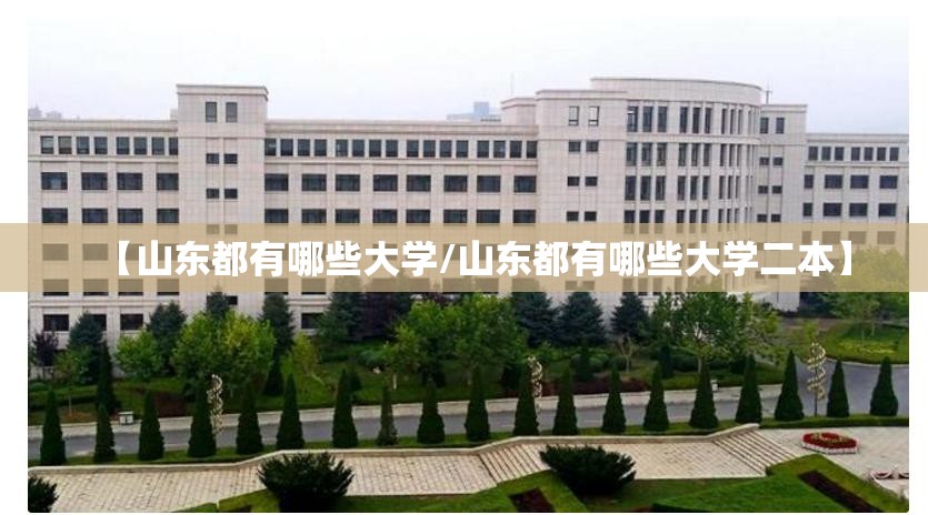 【山东都有哪些大学/山东都有哪些大学二本】