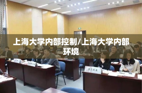 上海大学内部控制/上海大学内部环境