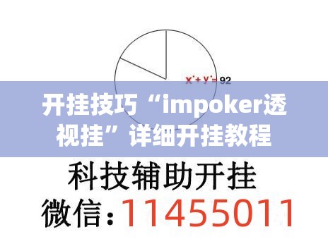 开挂技巧“impoker透视挂”详细开挂教程