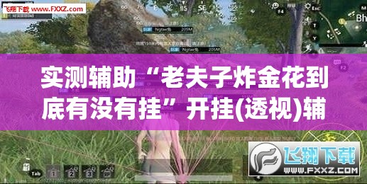 实测辅助“老夫子炸金花到底有没有挂	”开挂(透视)辅助神器