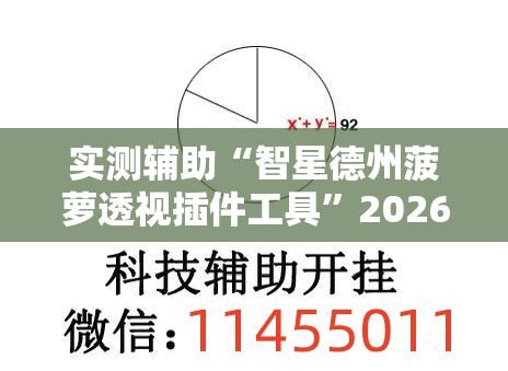 实测辅助“智星德州菠萝透视插件工具”2026开挂教程步骤