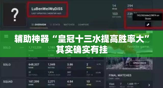 辅助神器“皇冠十三水提高胜率大	”其实确实有挂
