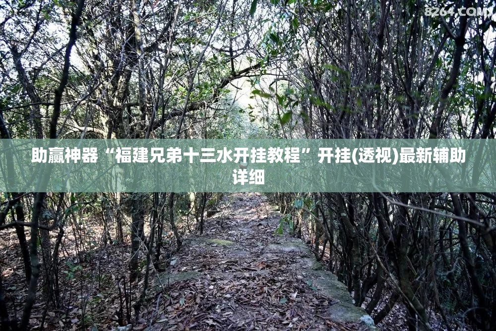 助赢神器“福建兄弟十三水开挂教程	”开挂(透视)最新辅助详细