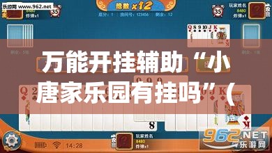 万能开挂辅助“小唐家乐园有挂吗”(透视挂)辅助下载教程