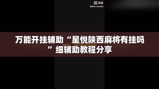万能开挂辅助“星悦陕西麻将有挂吗”细辅助教程分享