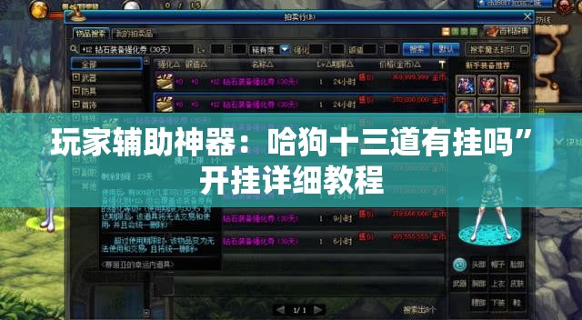 玩家辅助神器：哈狗十三道有挂吗”开挂详细教程