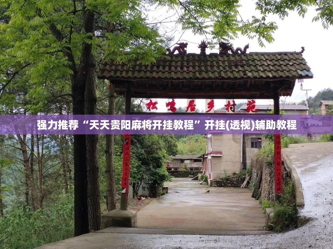 强力推荐“天天贵阳麻将开挂教程”开挂(透视)辅助教程