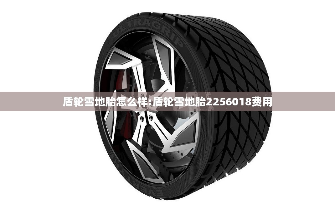 盾轮雪地胎怎么样:盾轮雪地胎2256018费用
