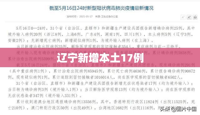 辽宁新增本土17例:辽宁新增本土17例病例