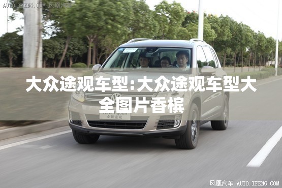 大众途观车型:大众途观车型大全图片香槟