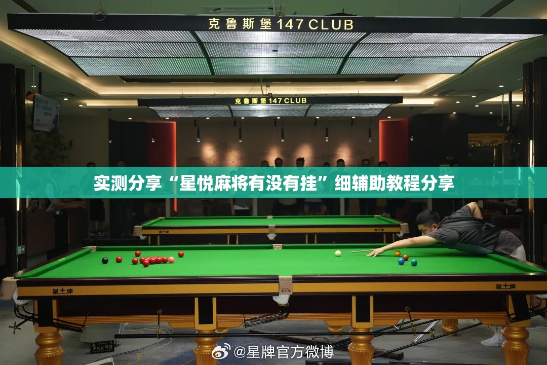 实测分享“星悦麻将有没有挂”细辅助教程分享