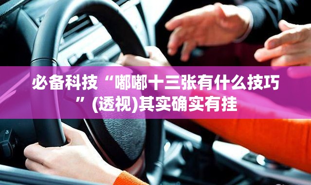 必备科技“嘟嘟十三张有什么技巧”(透视)其实确实有挂