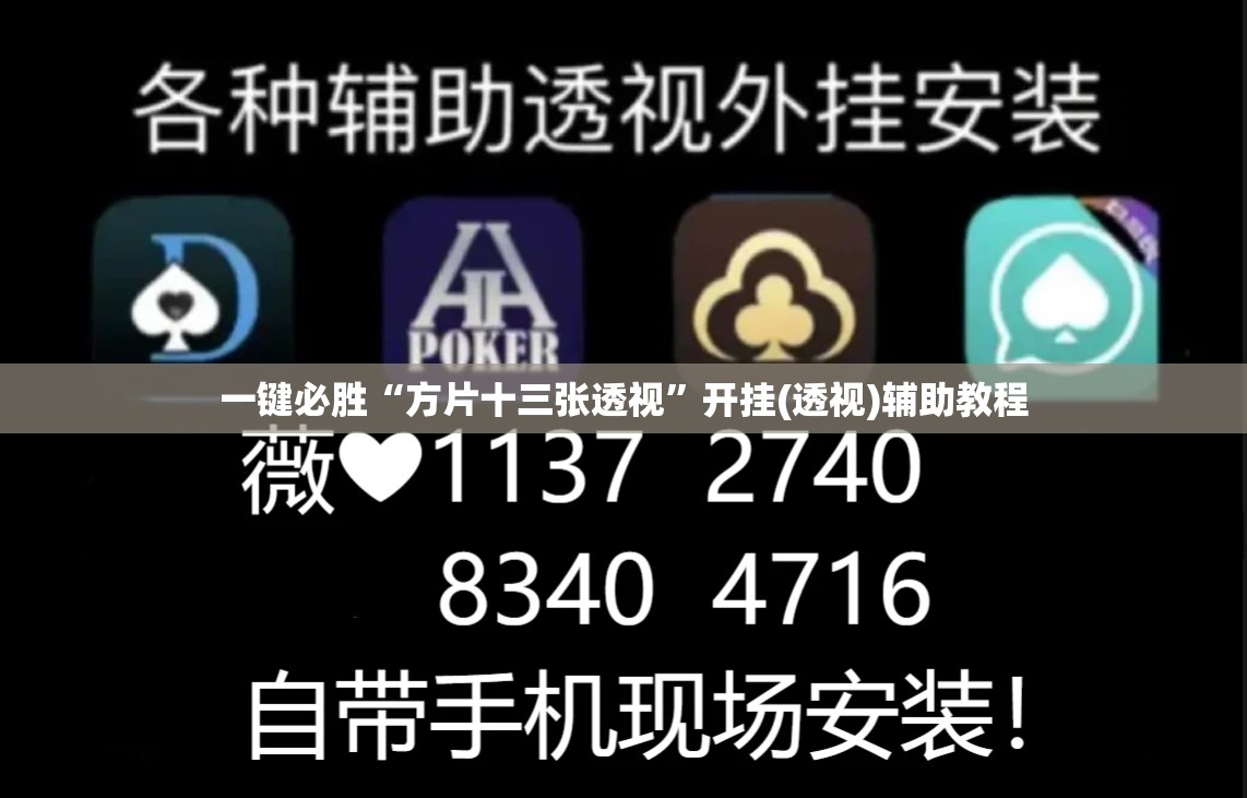 一键必胜“方片十三张透视”开挂(透视)辅助教程