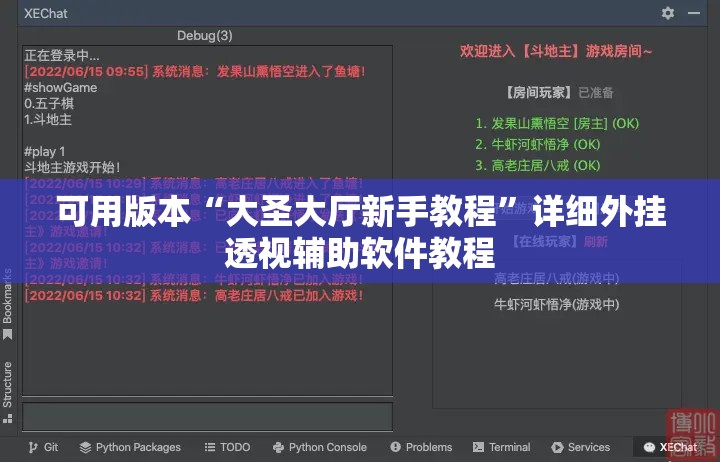可用版本“大圣大厅新手教程”详细外挂透视辅助软件教程