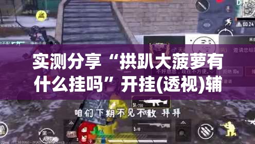 实测分享“拱趴大菠萝有什么挂吗”开挂(透视)辅助教程