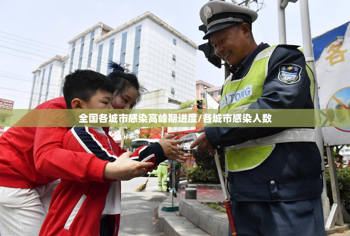 全国各城市感染高峰期进度/各城市感染人数