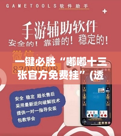 一键必胜“嘟嘟十三张官方免费挂”(透视挂)辅助下载教程