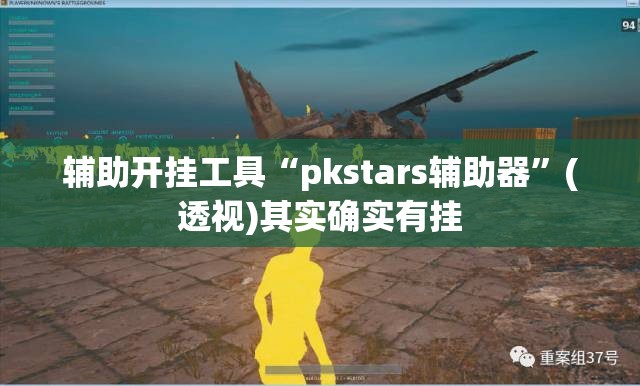 辅助开挂工具“pkstars辅助器”(透视)其实确实有挂