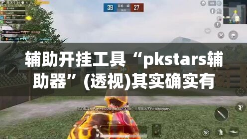 辅助开挂工具“pkstars辅助器”(透视)其实确实有挂