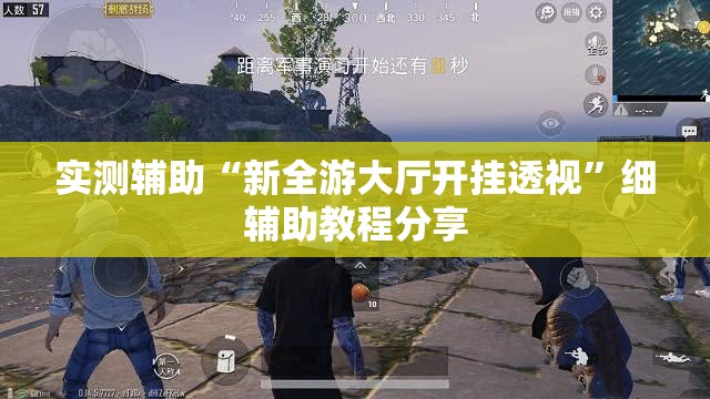 实测辅助“新全游大厅开挂透视”细辅助教程分享